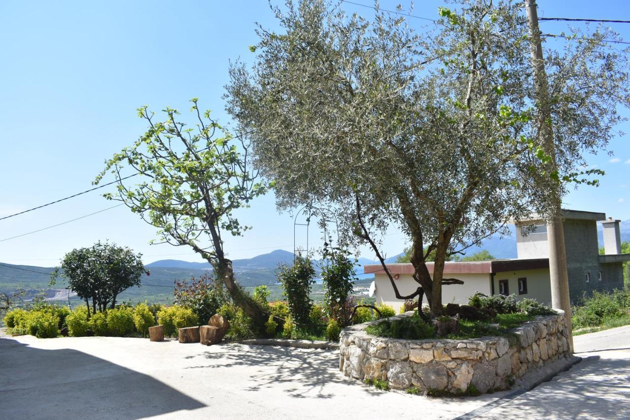 Apartment Macic Dub I Kotor Exterior photo