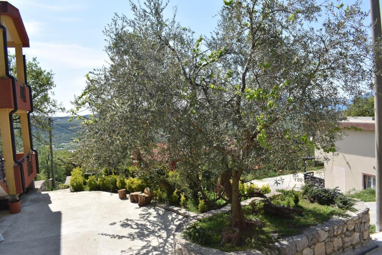 Apartment Macic Dub I Kotor Exterior photo