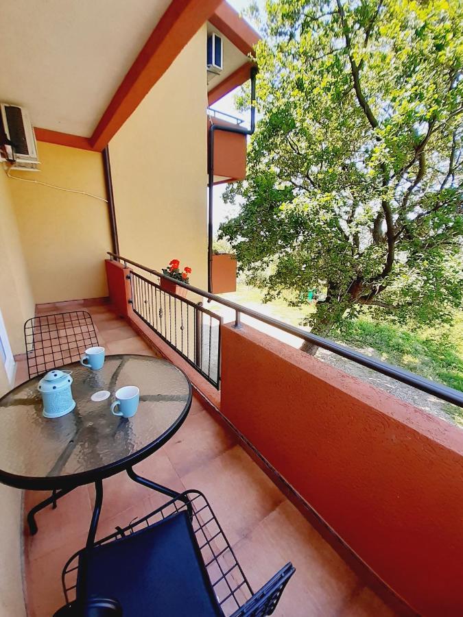 Apartment Macic Dub I Kotor Exterior photo