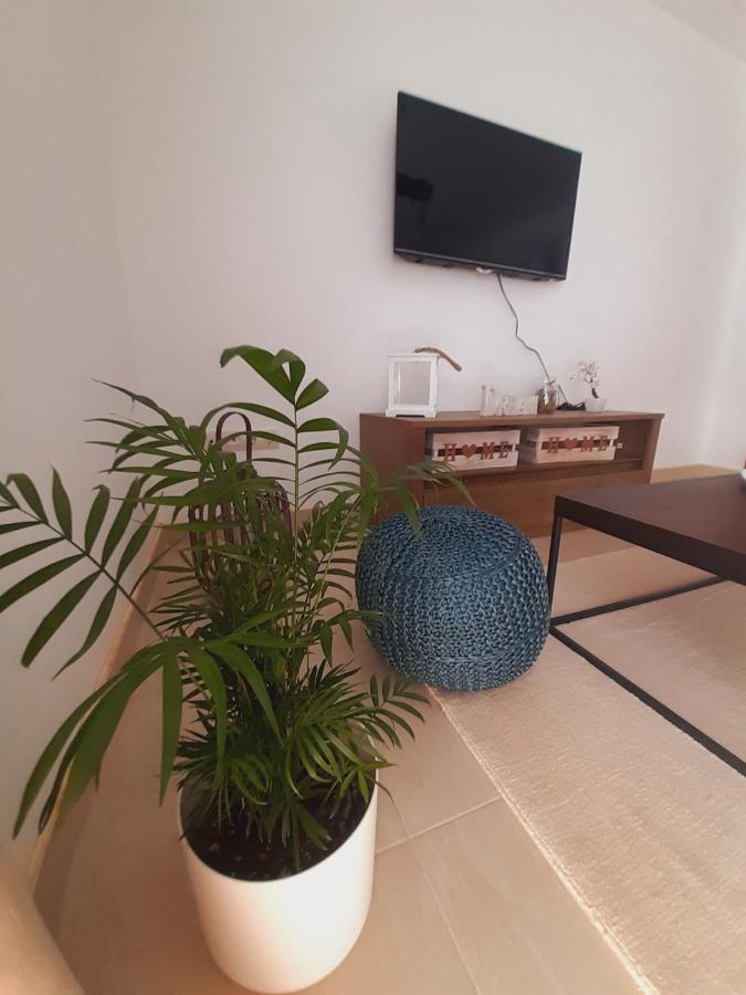 Apartment Macic Dub I Kotor Exterior photo